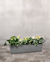 type=Greenify Udendørskrukke/color=Grå