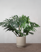 type=Simple krukke/color=Light Sand