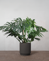 type=Simple krukke/color=Warm Black