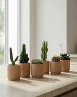 type=Simple Pot Clay/color=Pale Terracotta