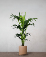 type=Simple krukke/color=Pale Terracotta