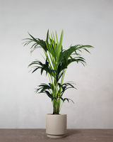 type=Simple krukke/color=Light Sand