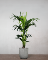 type=Glaseret krukke/color=Grå