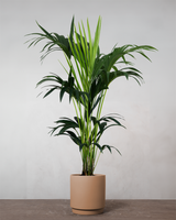 type=Simple krukke/color=Pale Terracotta