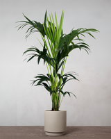 type=Simple krukke/color=Light Sand