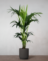 type=Simple krukke/color=Warm Black