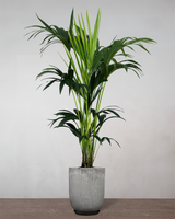 type=Glaseret krukke/color=Grå