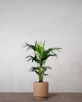 type=Simple krukke/color=Pale Terracotta