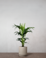 type=Simple krukke/color=Light Sand