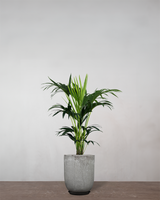 type=Glaseret krukke/color=Grå