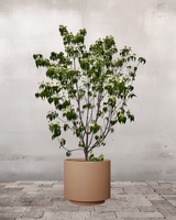 type=Simple Pot Lite/color=Pale Terracotta