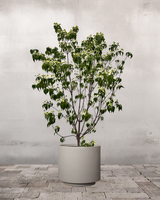 type=Simple Pot Lite/color=Light Sand