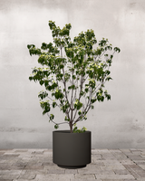 type=Simple Pot Lite/color=Warm Black
