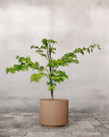 type=Simple krukke/color=Pale Terracotta