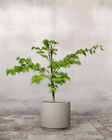 type=Simple krukke/color=Light Sand