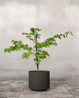 type=Simple krukke/color=Warm Black