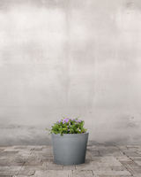 type=Greenify Udendørskrukke/color=Grå