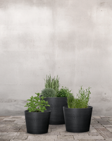 type=Greenify Udendørskrukke/color=Sort