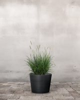 type=Greenify Udendørskrukke/color=Sort