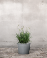 type=Greenify Udendørskrukke/color=Grå