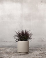 type=Simple krukke/color=Light Sand