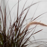 Efterårskrukken - Greenify Udendørskrukke