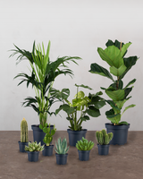Lille Plantepakke