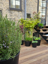 Greenify Udendørskrukke - Sort - Ø20