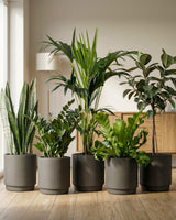 type=Simple Pot Lite/color=Warm Black