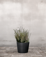 type=Greenify Udendørskrukke/color=Sort