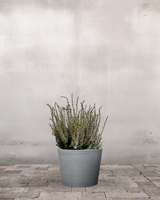 type=Greenify Udendørskrukke/color=Grå