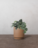 type=Simple krukke/color=Pale Terracotta