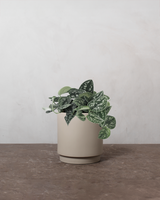 type=Simple krukke/color=Light Sand