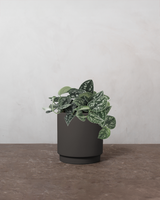 type=Simple krukke/color=Warm Black