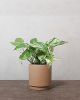 type=Simple krukke/color=Pale Terracotta