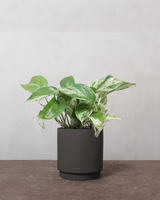 type=Simple krukke/color=Warm Black