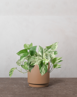 type=Simple krukke/color=Pale Terracotta