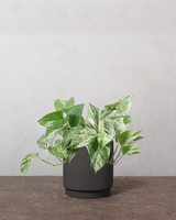 type=Simple krukke/color=Warm Black