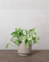 type=Simple krukke/color=Light Sand