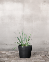 type=Greenify Udendørskrukke/color=Sort