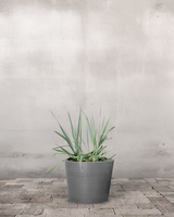 type=Greenify Udendørskrukke/color=Grå