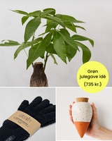 Grøn Julegavepakke: Lykkekastanje & Plejesæt