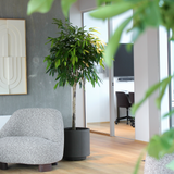 Simple Pot Lite - Warm Black - Ø62