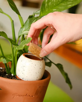 Olla Selvvander - Pink/Red Stripes