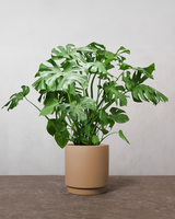 type=Simple krukke/color=Pale Terracotta