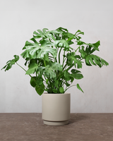 type=Simple krukke/color=Light Sand