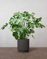 type=Simple krukke/color=Warm Black