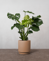 type=Simple krukke/color=Pale Terracotta