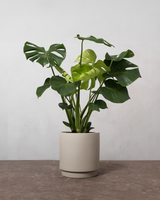 type=Simple krukke/color=Light Sand