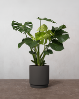 type=Simple krukke/color=Warm Black